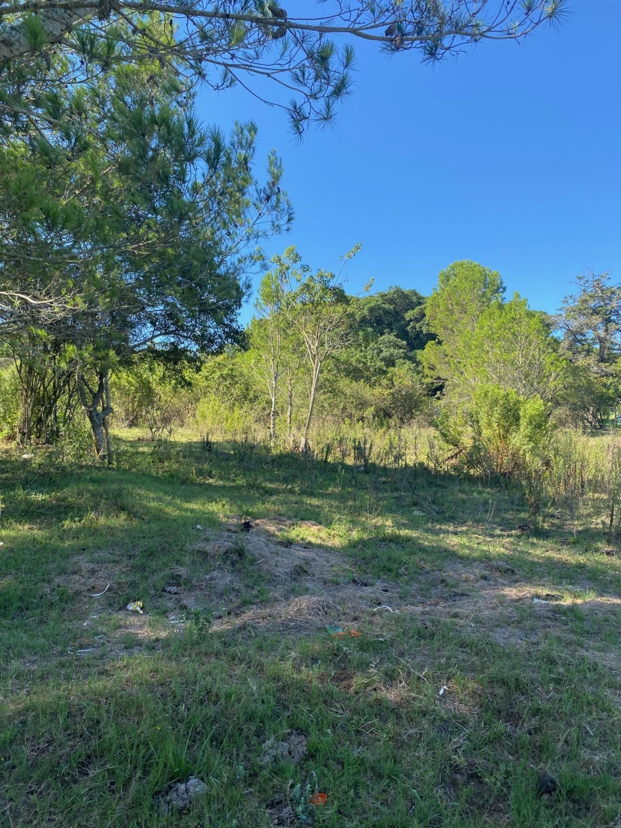 0 Bedroom Property for Sale in Bathurst Eastern Cape